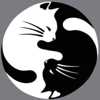 寝るよー(っ˘꒳˘ｃ)ｽﾔｧ