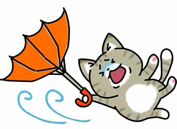 台風上陸🌀