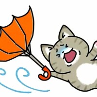 台風上陸🌀