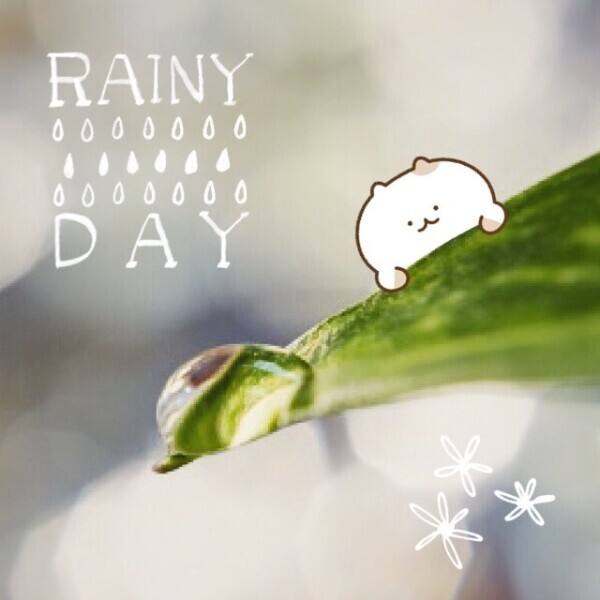 🍀こんにちは🍀