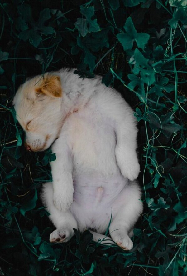 おやすみなさい😴