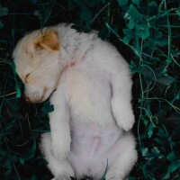 おやすみなさい😴