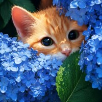 おはようございます☁️