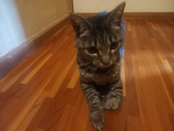 悩み中😽
