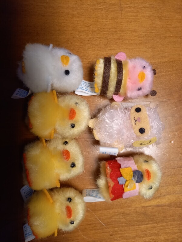 ぴよりーな🐥