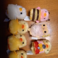 ぴよりーな🐥