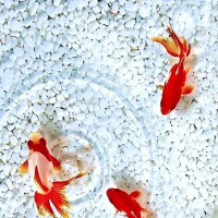 出勤です