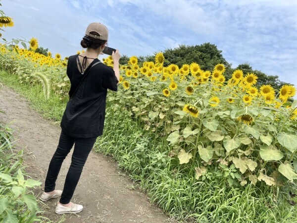 日曜日朝から出勤です😘