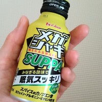 買ってみた