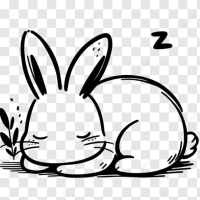 🐇