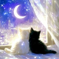 お疲れ様でした🌃
