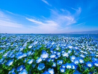 本日出勤🎀