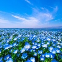 本日出勤🎀