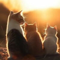 出勤しました😹