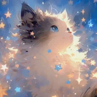 ⭐️本日もありがとうございました⭐️