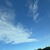 早番出勤です