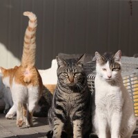 お休み1日目☀️