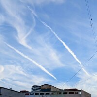 出勤です