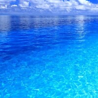 おはようございます☀️