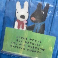 こんにちは🤍