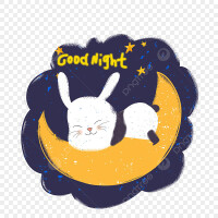 🐰