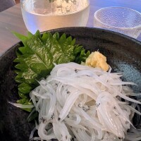 今夜はこれ♪