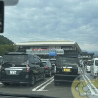 今日は…