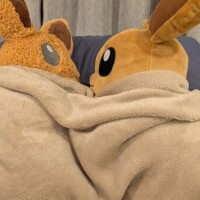 あらΣ( ºﾛº)