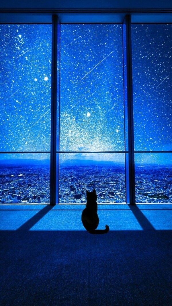 お疲れ様でした🌃