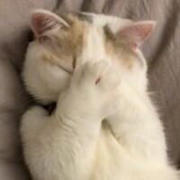 ご無事ですか？