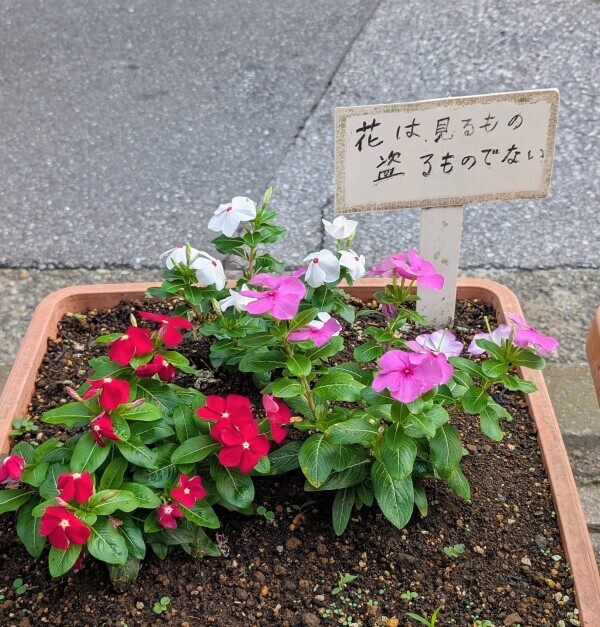 おはようございます