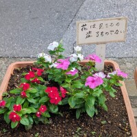おはようございます