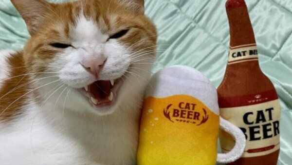 出勤しました😹