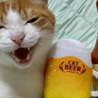 出勤しました😹