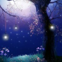 ⭐️今日も1日お疲れ様です⭐️