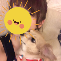 おやすみなさい✴︎🌙.°