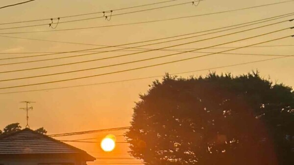 𝗚𝗼𝗼𝗱 𝗺𝗼𝗿𝗻𝗶𝗻𝗴 ☀︎*.｡