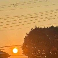 𝗚𝗼𝗼𝗱 𝗺𝗼𝗿𝗻𝗶𝗻𝗴 ☀︎*.｡