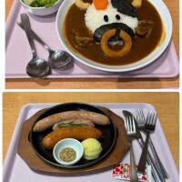 🍛🌭