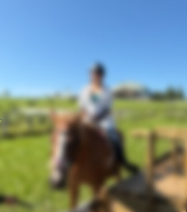 🐎