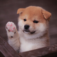 おはようございます