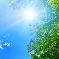 おはようございます