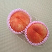 特大桃🍑✨