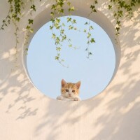 お休み😽🏥