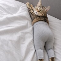出勤しました☁️
