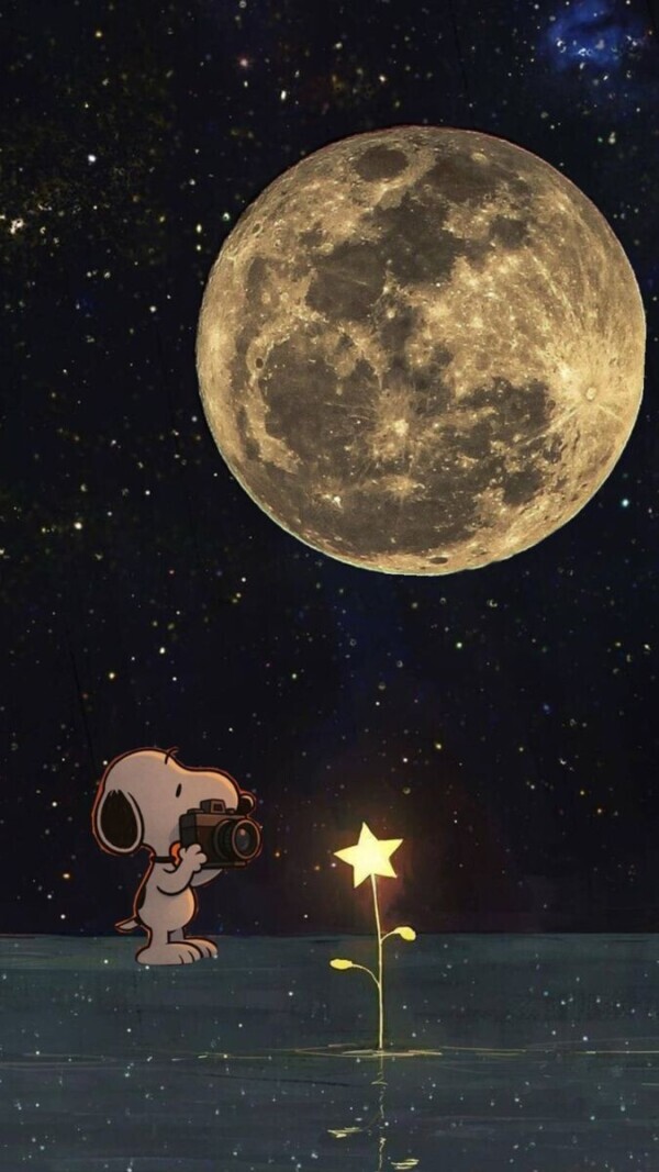 満月🌕🐺✨