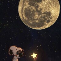 満月🌕🐺✨