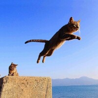 出勤です