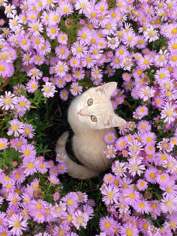 ありがとうございます✨✨