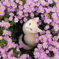 ありがとうございます✨✨